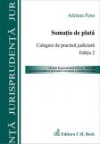 Somatia de plata. Culegere de practica judiciara. Editia 2