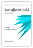 Somatia de plata. Culegere de practica judiciara