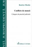 Conflicte de munca. Culegere de practică judiciara