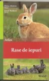 Rasele de iepuri - Atlas