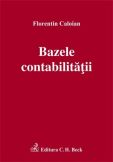 Bazele contabilitatii 