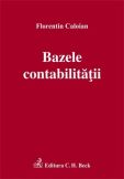 Bazele contabilitatii 