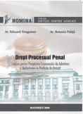 Drept procesual penal. Sinteze - Ed. a II-a, 2010
