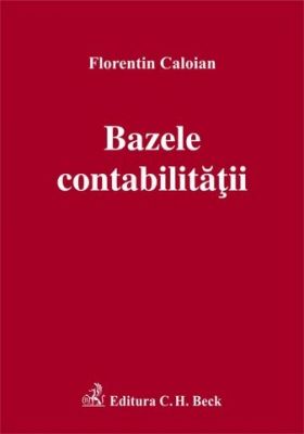 Bazele contabilitatii 