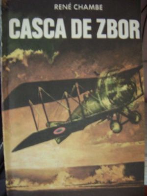 Casca de zbor