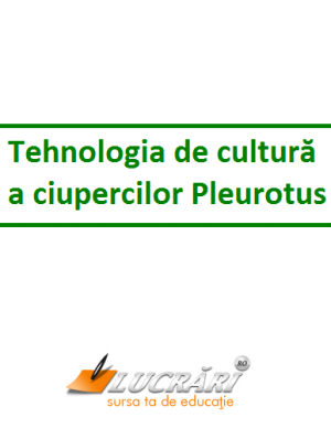 Tehnologia de cultura a ciupercilor Pleurotus