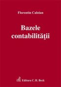 Bazele contabilitatii 