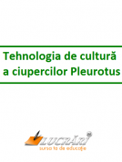 Tehnologia de cultura a ciupercilor Pleurotus